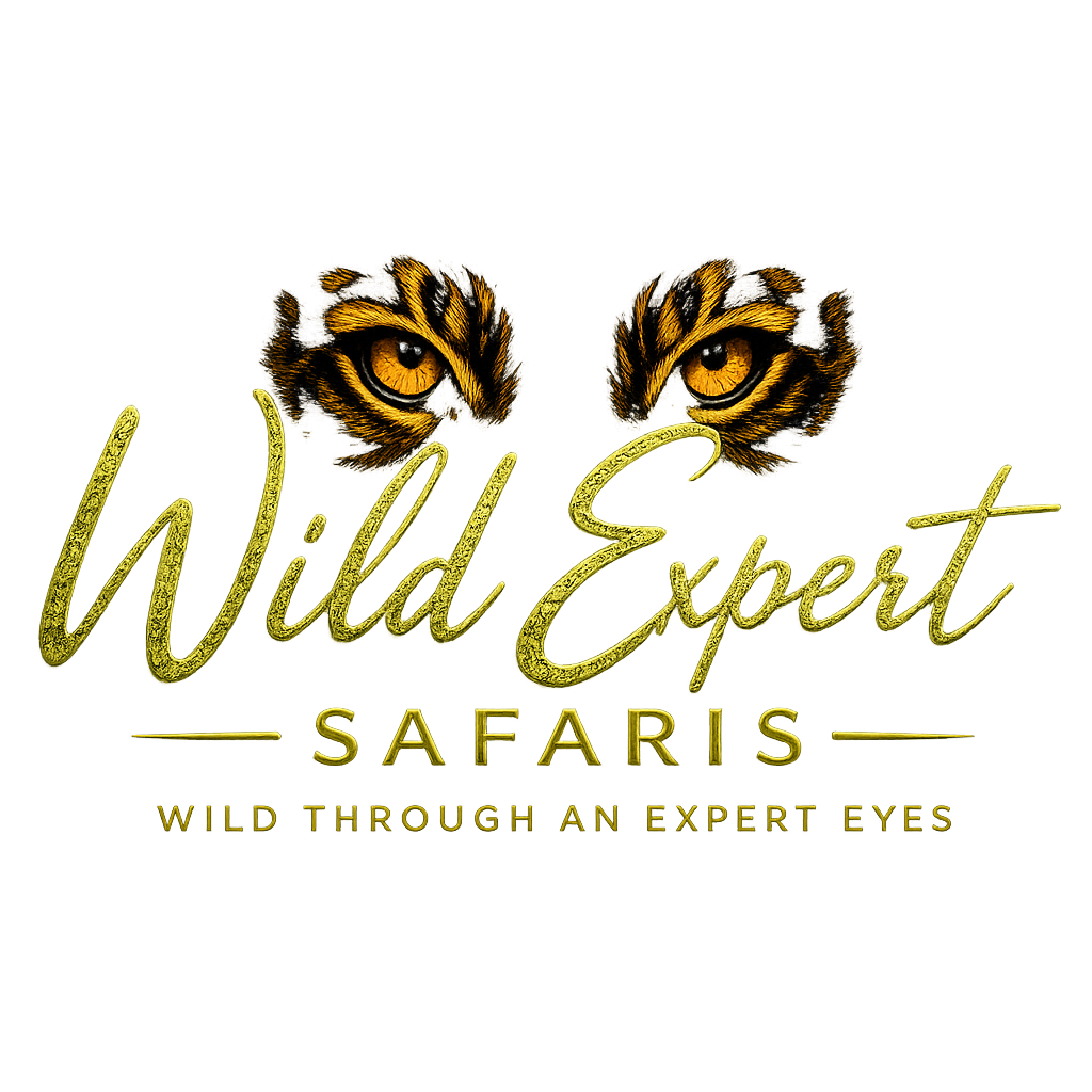 WILD EXPERT SAFARIS