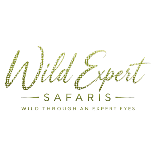Wild Expert Safaris