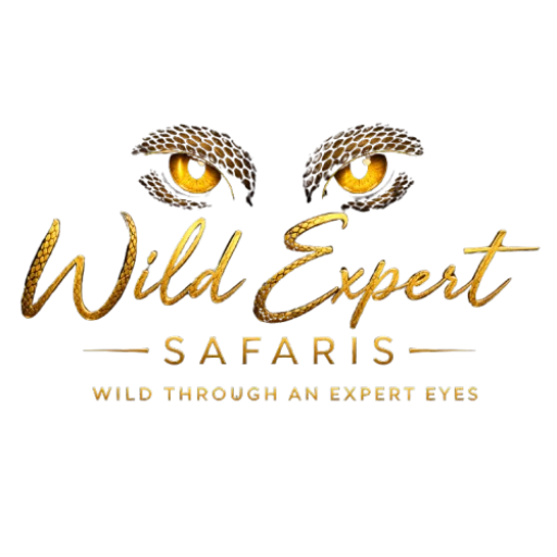 Wild Expert Safaris