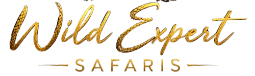 Wild Expert Safaris